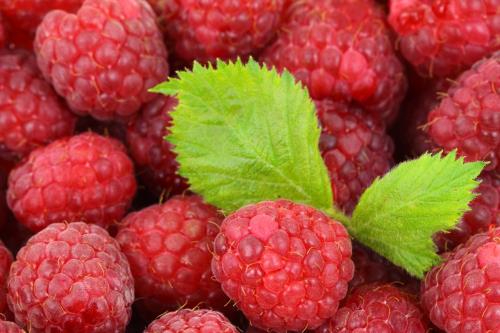Frozen Organic Raspberries - 22lb Box